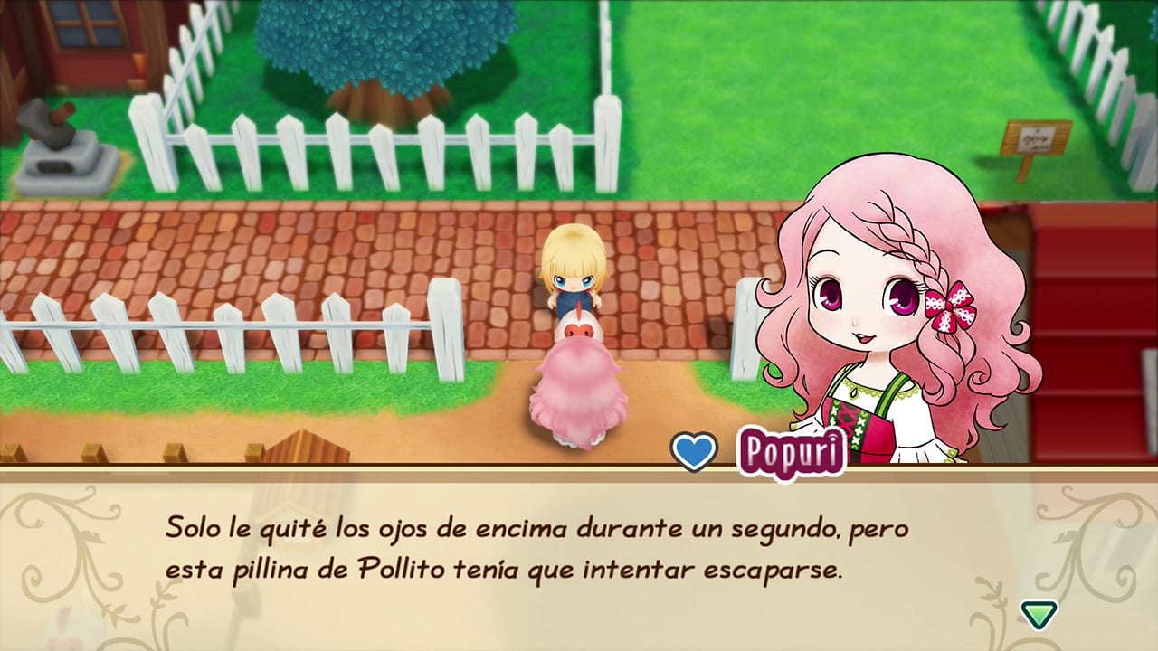 STORY OF SEASONS: Friends of Mineral Town 4