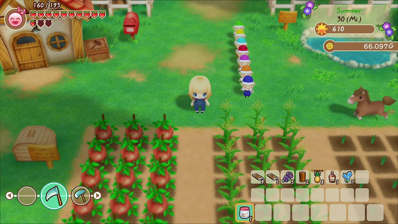 STORY OF SEASONS: Friends of Mineral Town 6