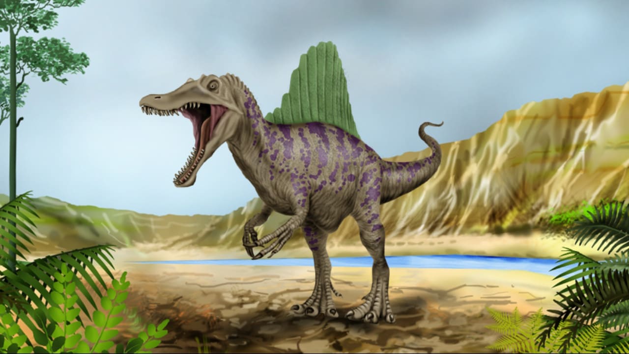 Dinosaur Fossil Puzzles 6