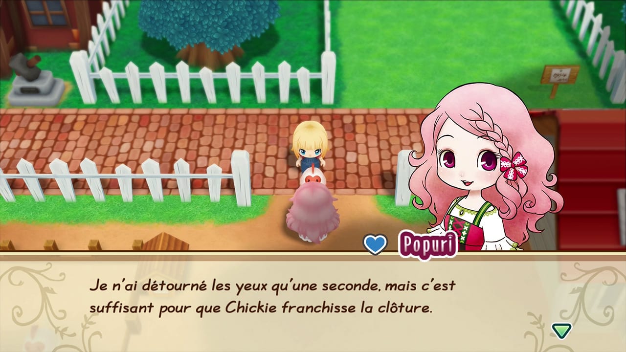 STORY OF SEASONS: Friends of Mineral Town 4
