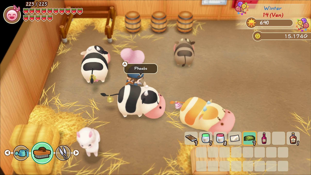 STORY OF SEASONS: Friends of Mineral Town 5