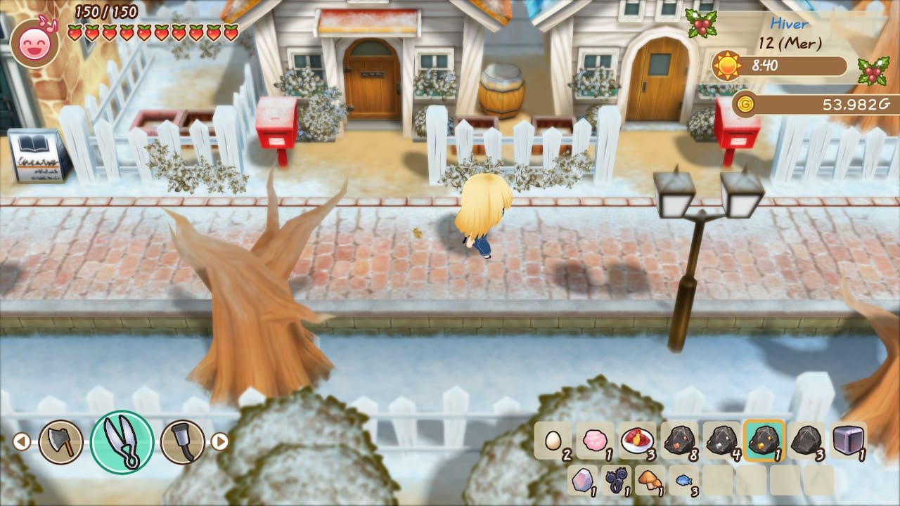 STORY OF SEASONS: Friends of Mineral Town 9