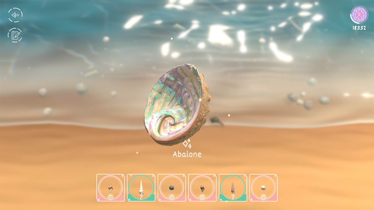 Seashell 6