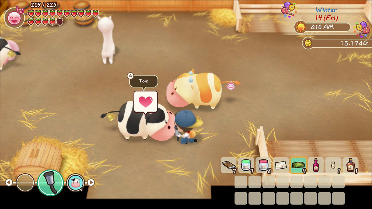 STORY OF SEASONS: Friends of Mineral Town 3