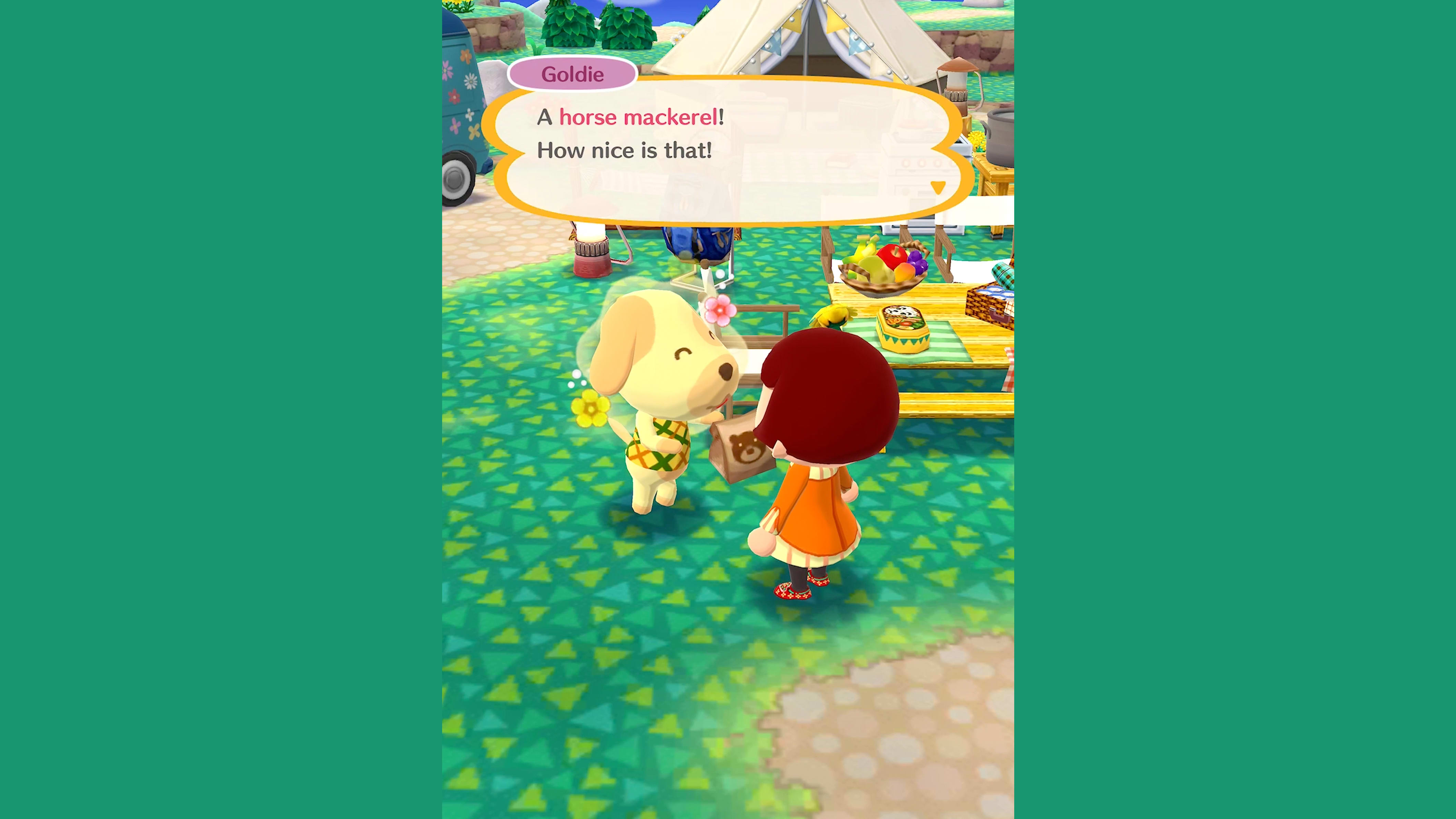Animal Crossing™: Pocket Camp Complete 5