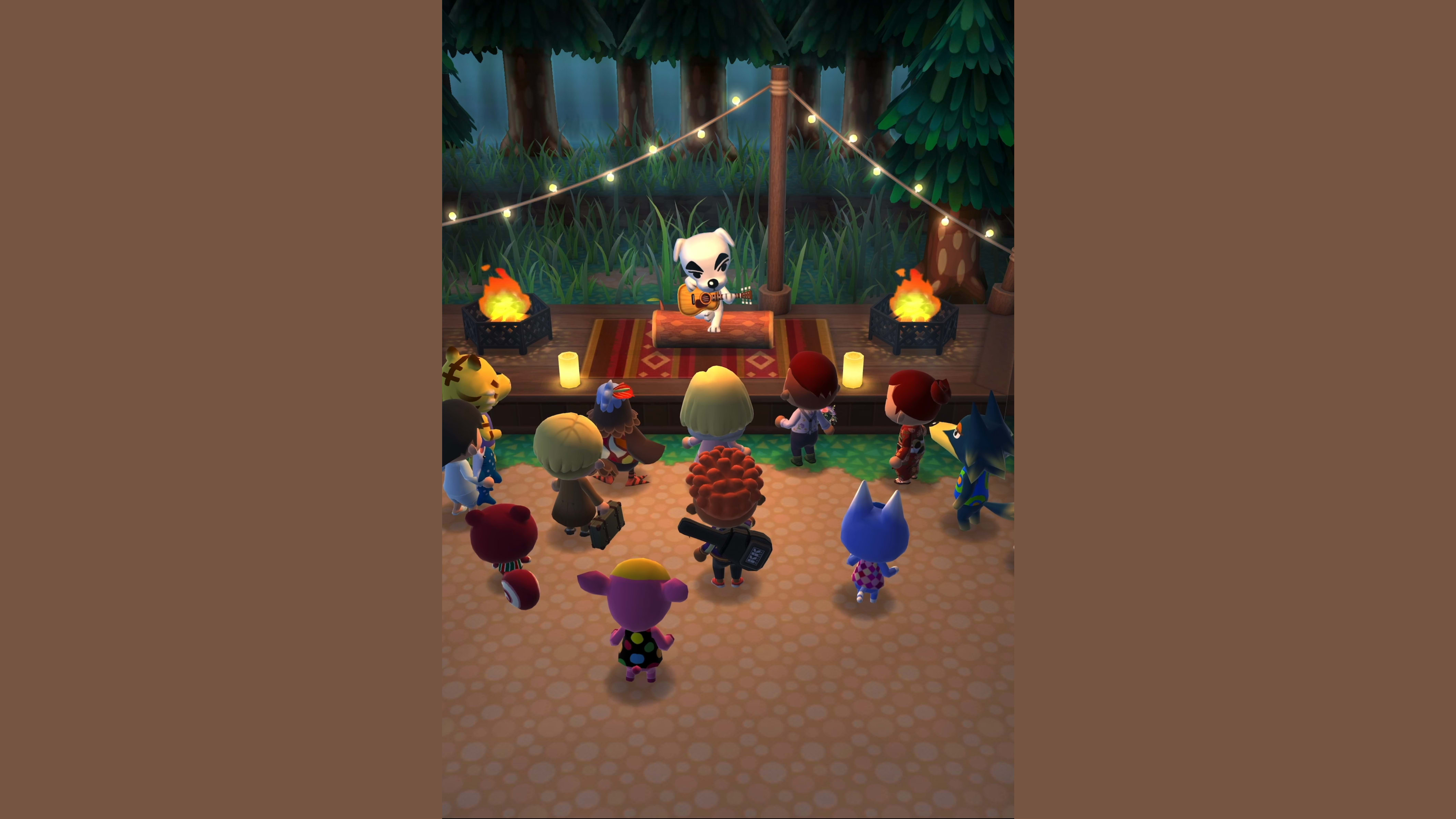 Animal Crossing™: Pocket Camp Complete 13