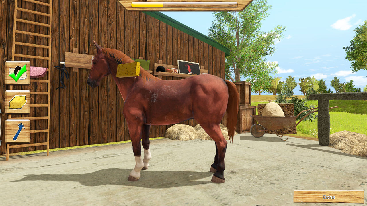 My Little Riding Champion 2