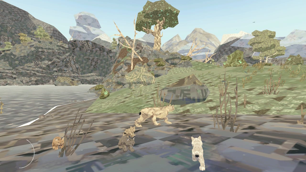 Shelter Generations 3