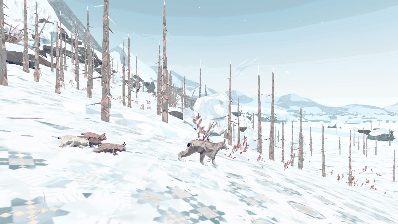 Shelter Generations 4