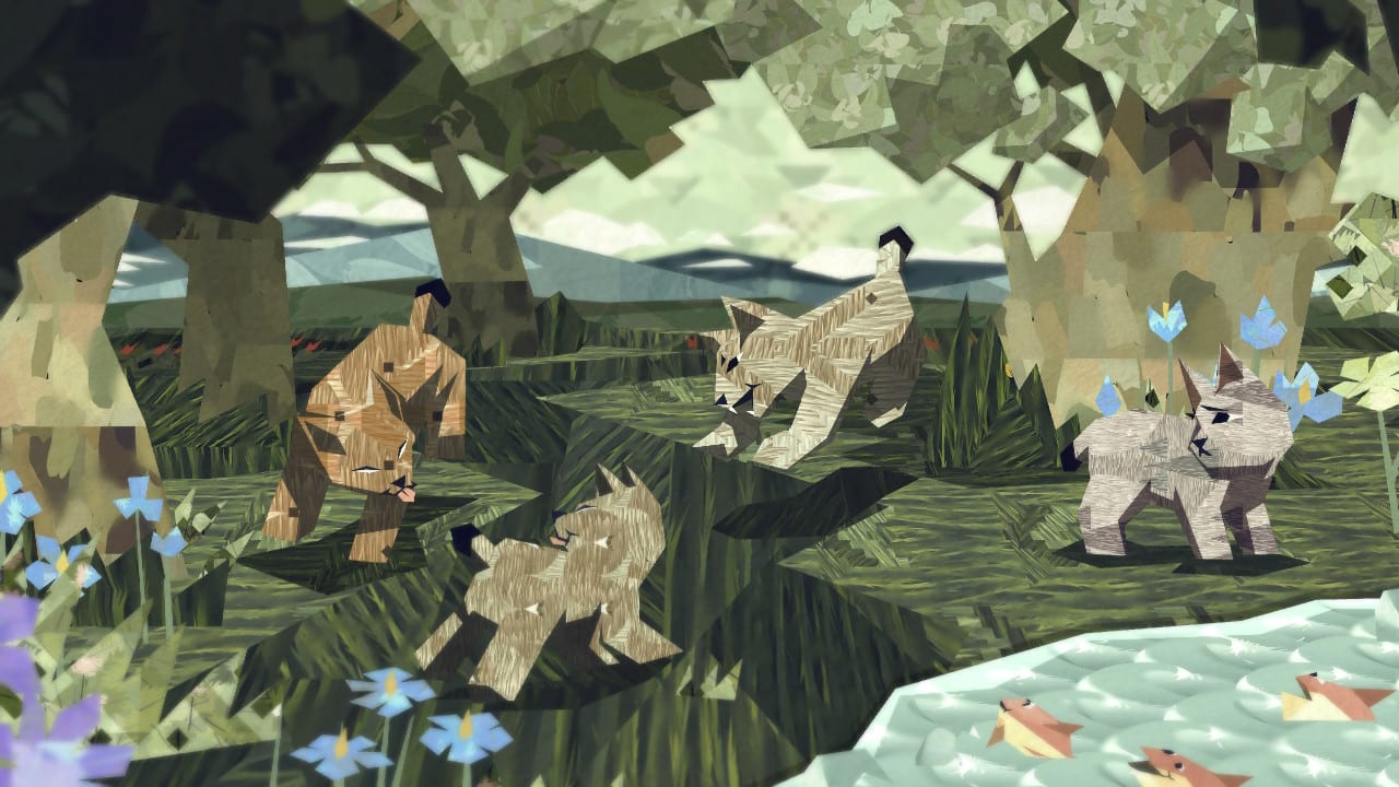 Shelter Generations 6