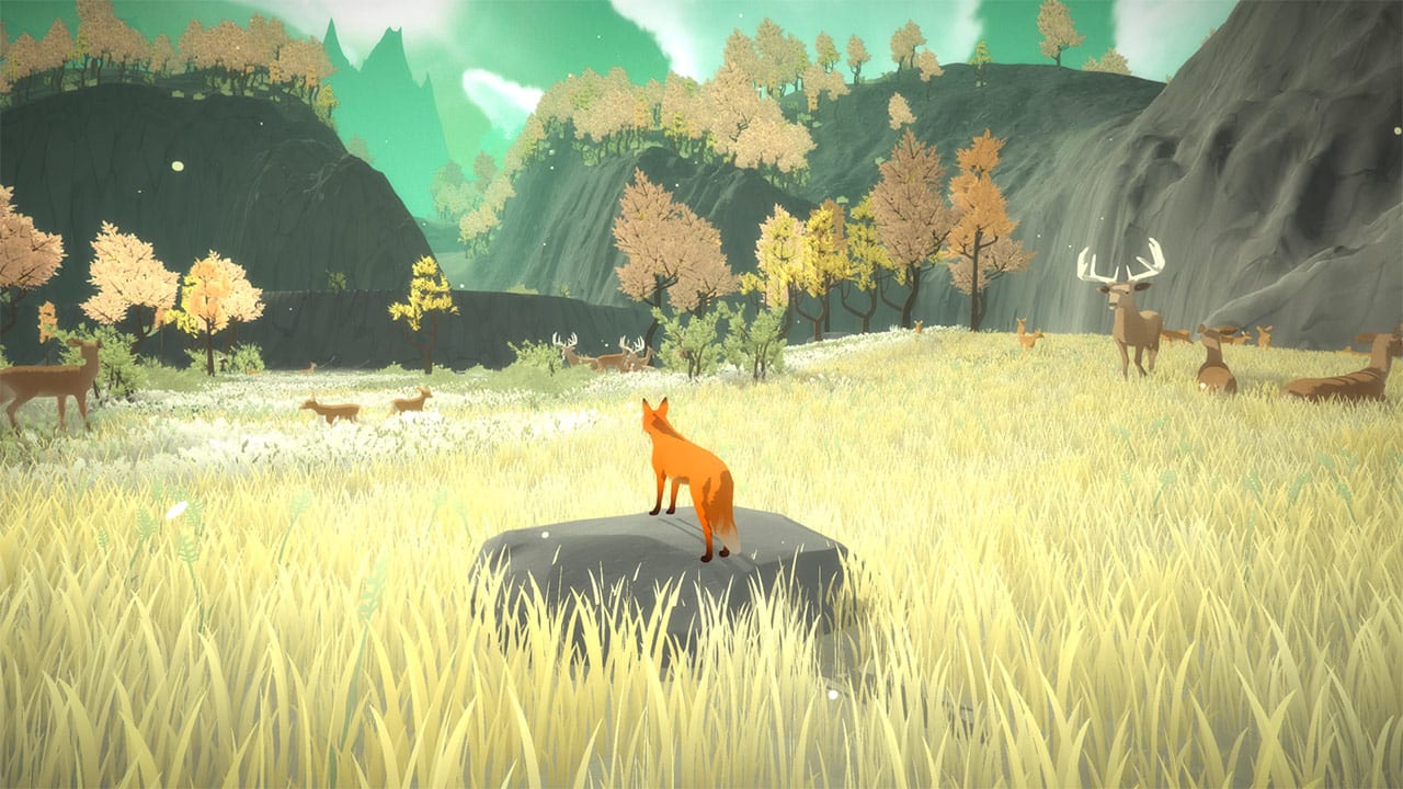 The First Tree 7