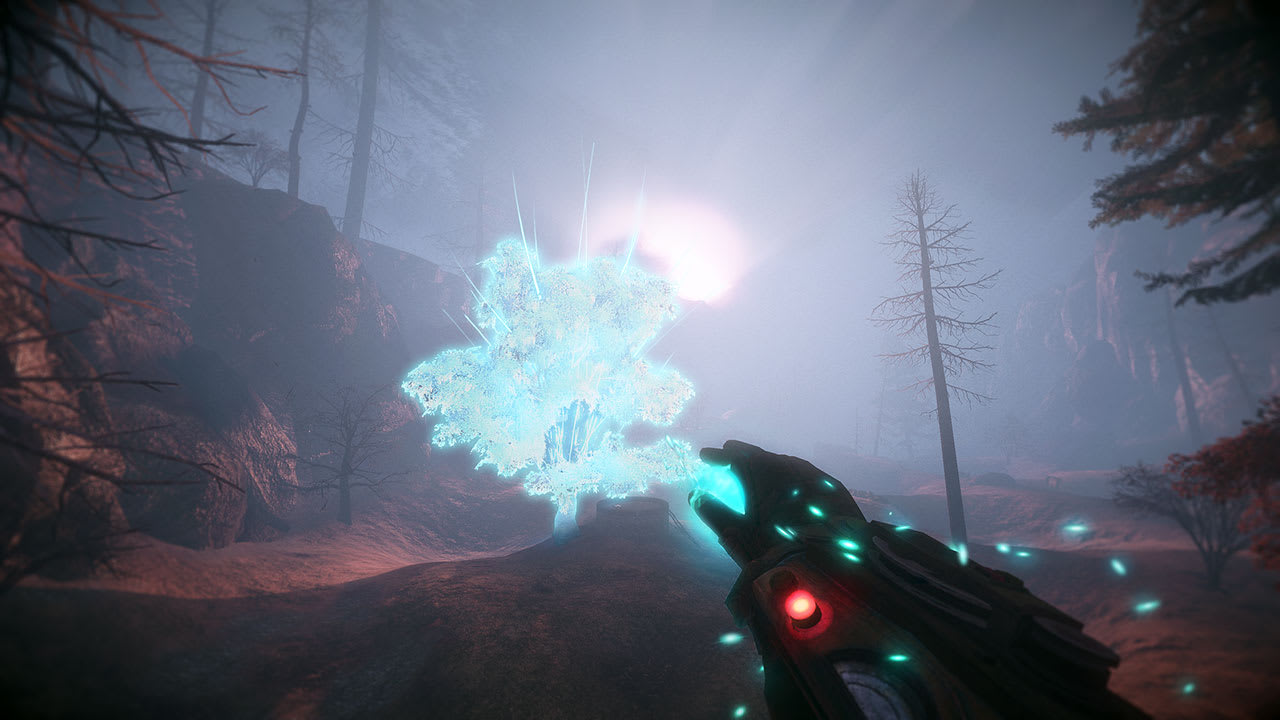 Valley 5