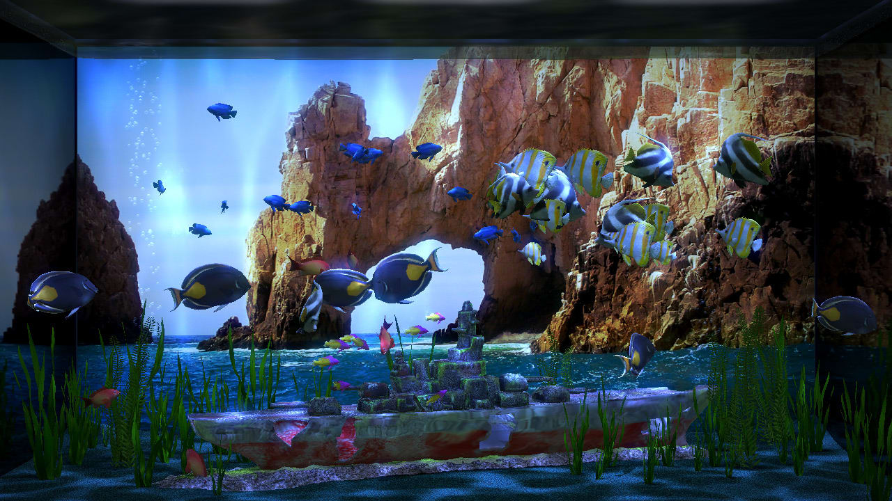 Aqua TV 6
