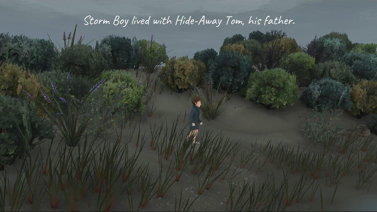 Storm Boy 4