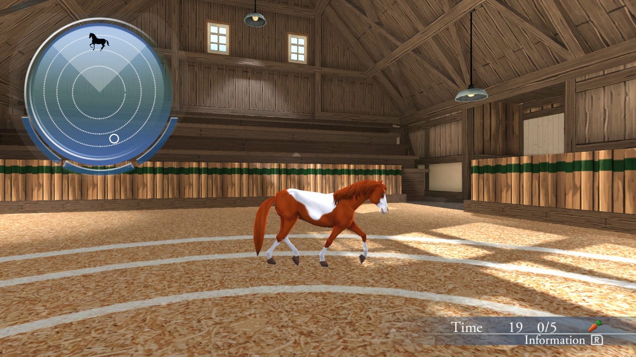 My Riding Stables - Life with Horses for Nintendo Switch - Nintendo  Official Site