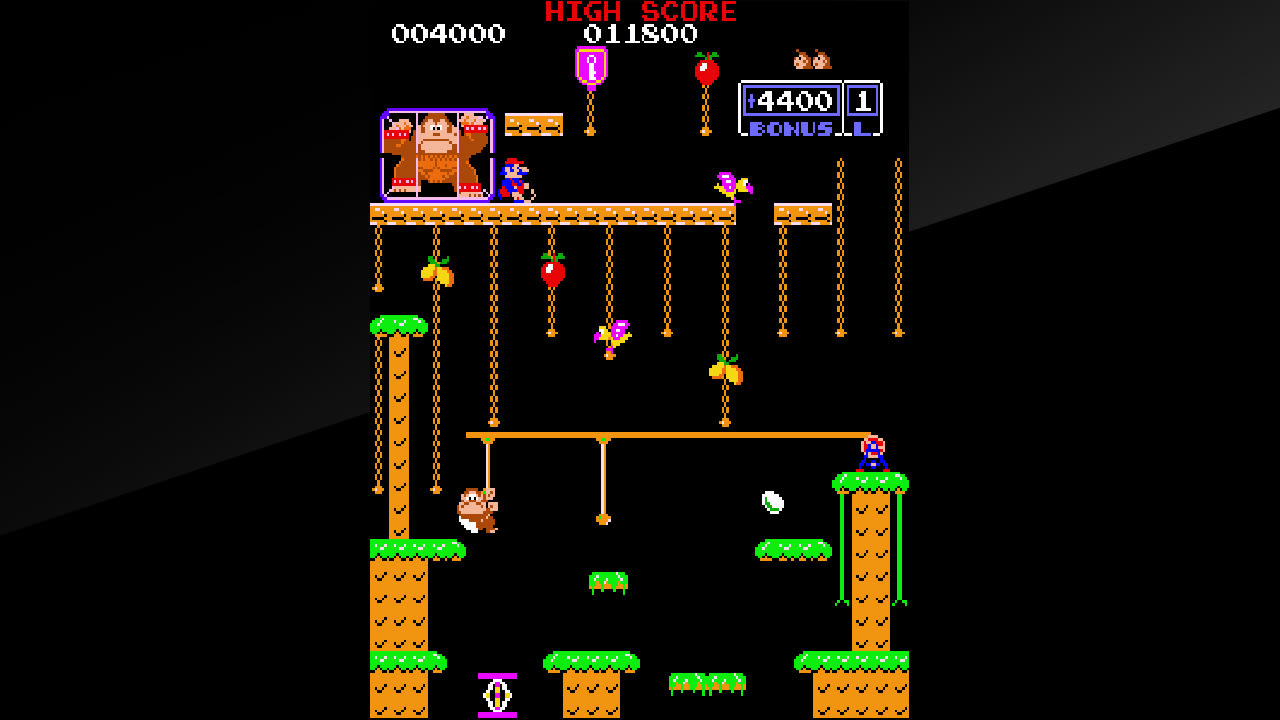 Arcade Archives DONKEY KONG JR. 5