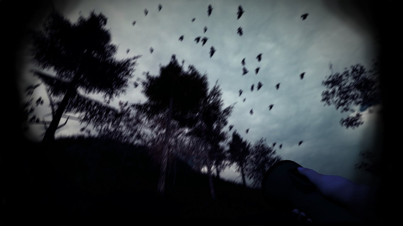 Slender: The Arrival 4