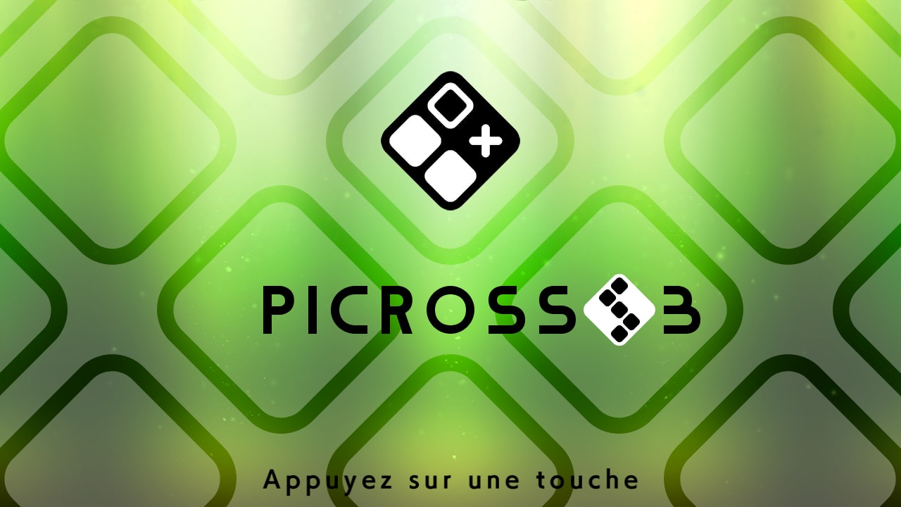 PICROSS S3 3