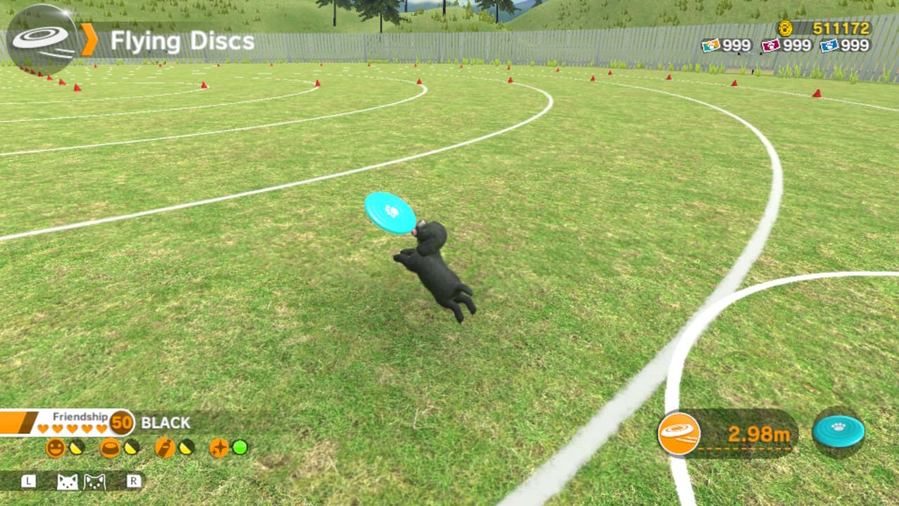Little Friends: Dogs & Cats 3