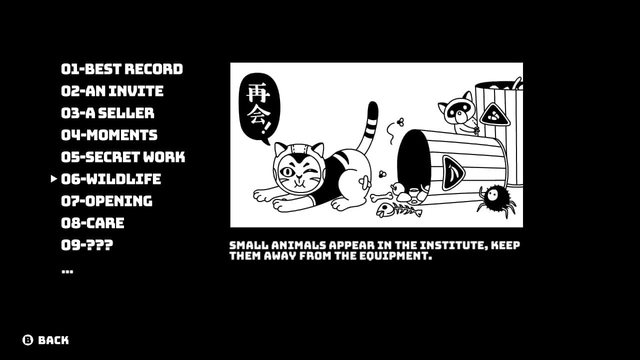 Cruel Bands Career 8