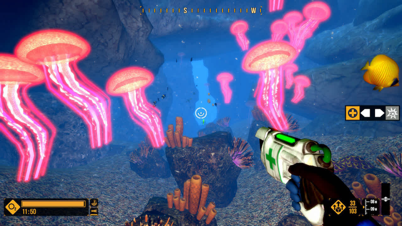 Deep Diving Adventures 6