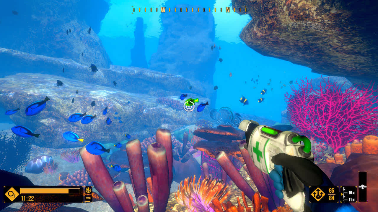 Deep Diving Adventures 3