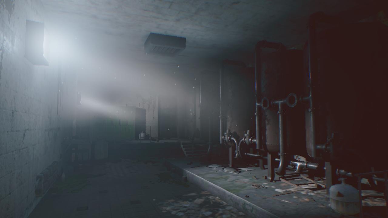 In rays of the Light 4