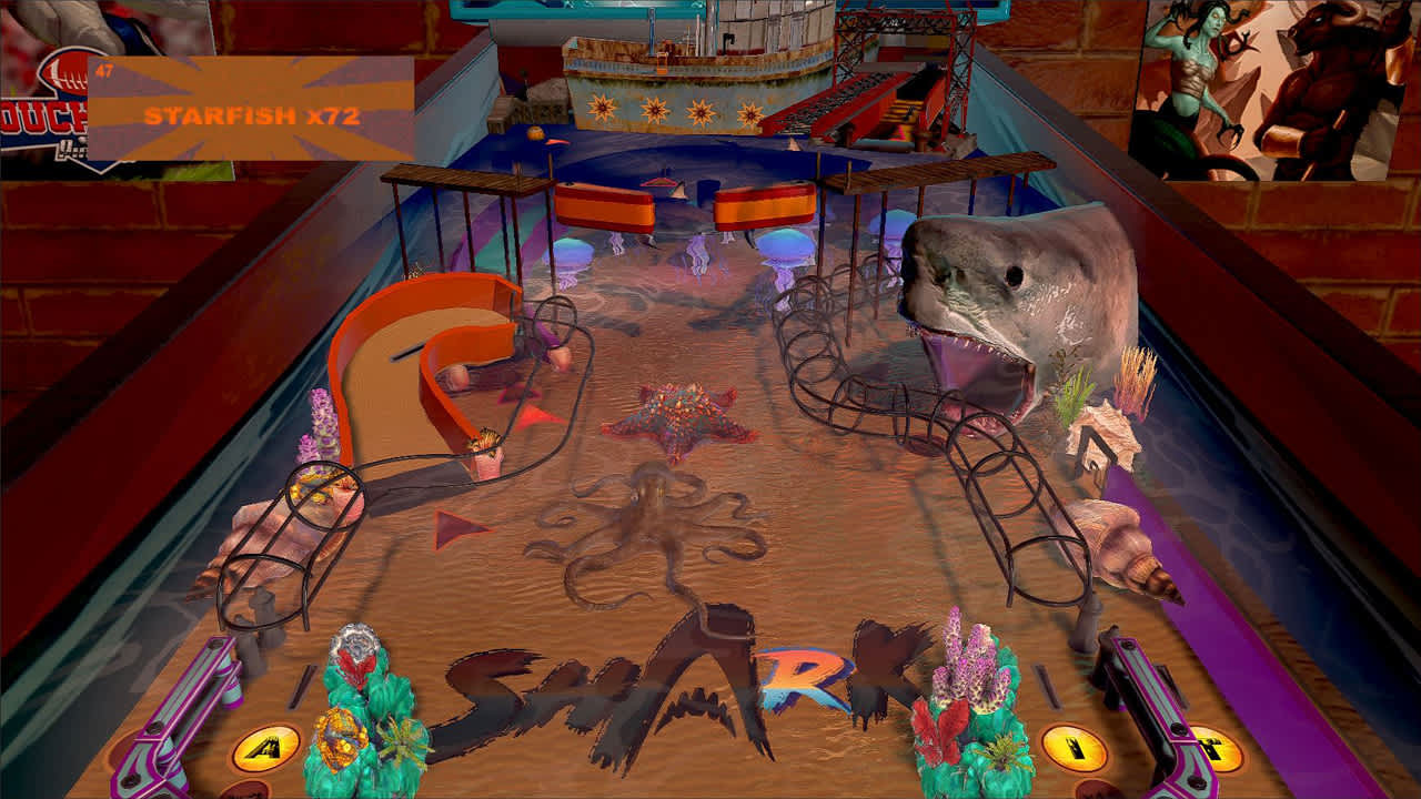 Wild Pinball Bundle 6