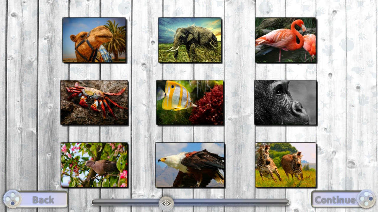 Jigsaw Fun: Amazing Animals 6