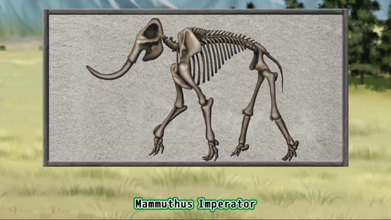 Prehistoric Life Puzzles 6