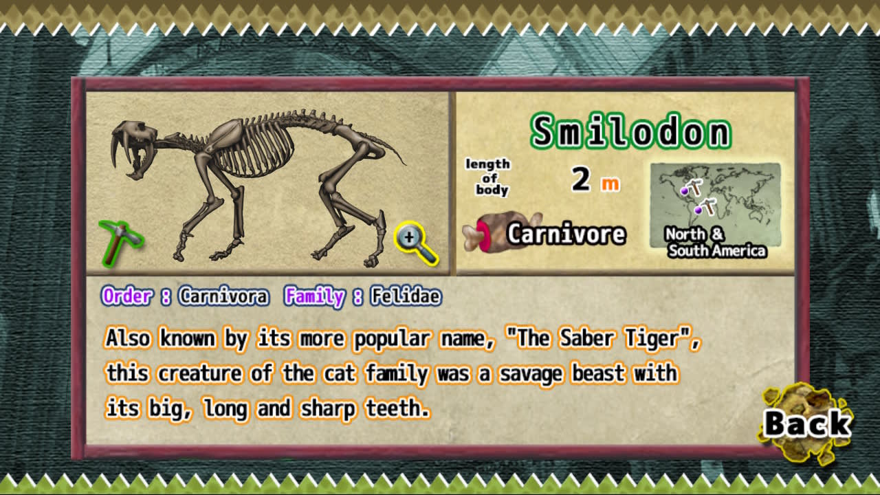 Prehistoric Life Puzzles 5