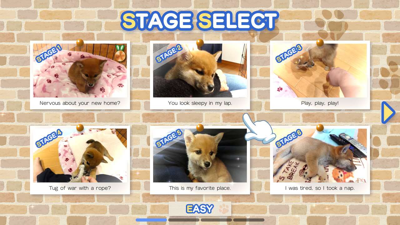 Pixel Game Maker Series Shiba Mekuri 3