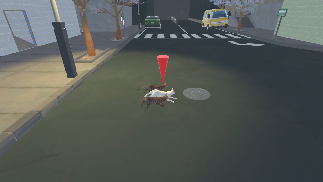 Street Cats Race 7