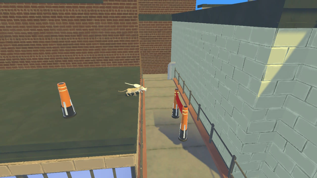 Street Cats Race 4