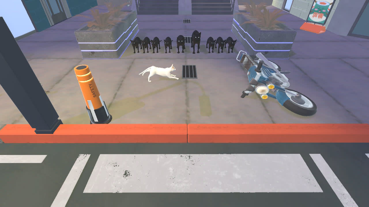 Street Cats Race 6
