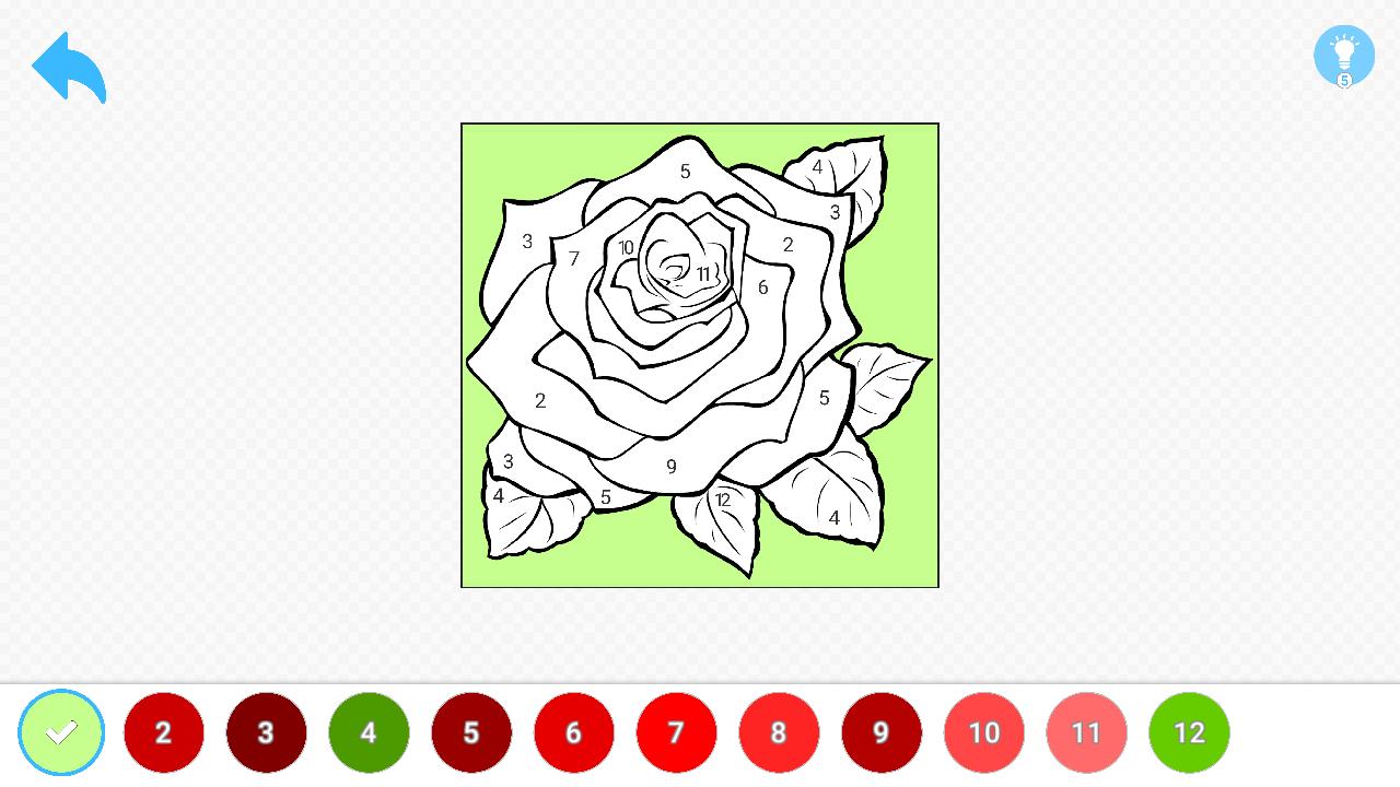 Colors and Numbers 5