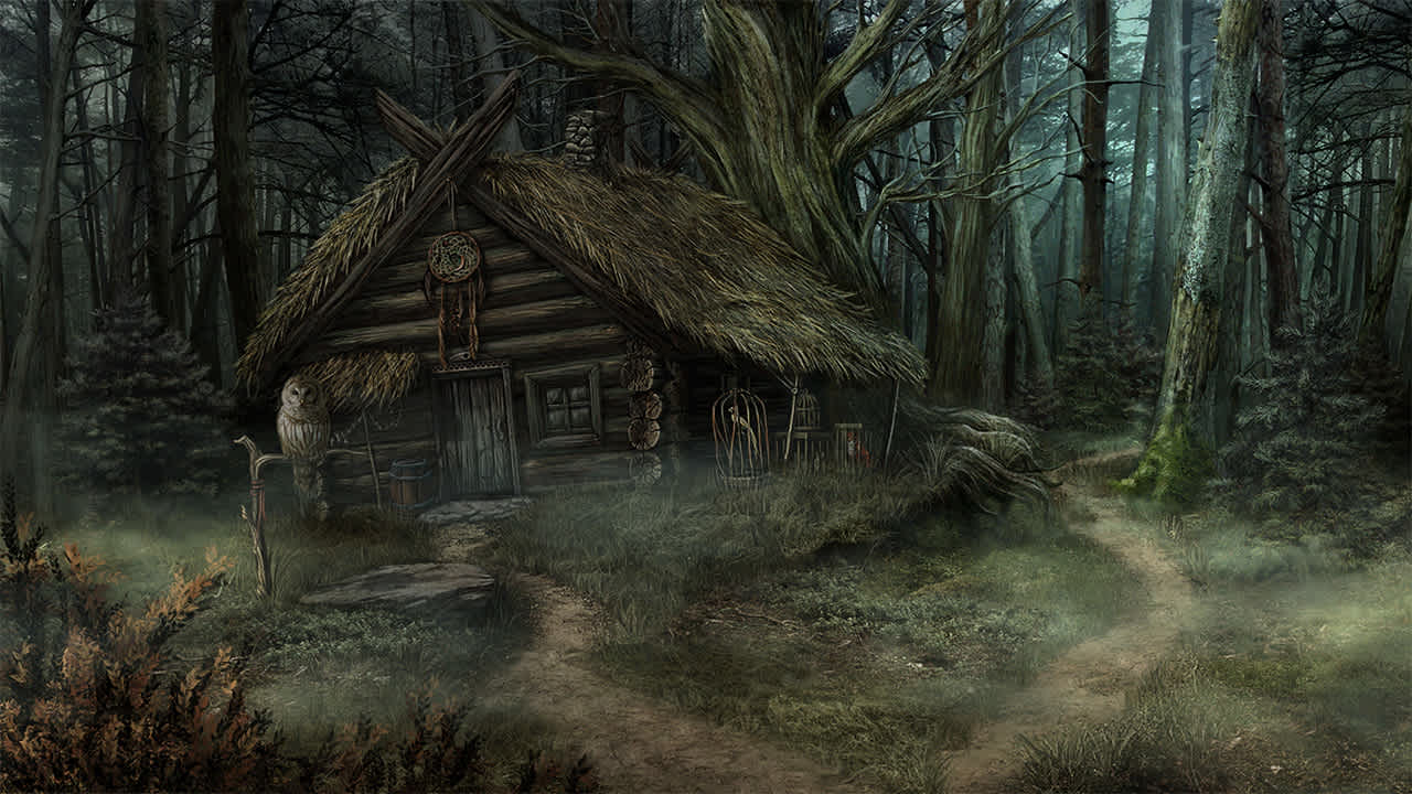 The Wild Case 7