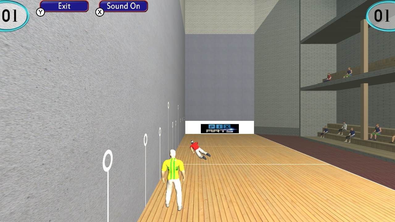 Handball Pelota 5