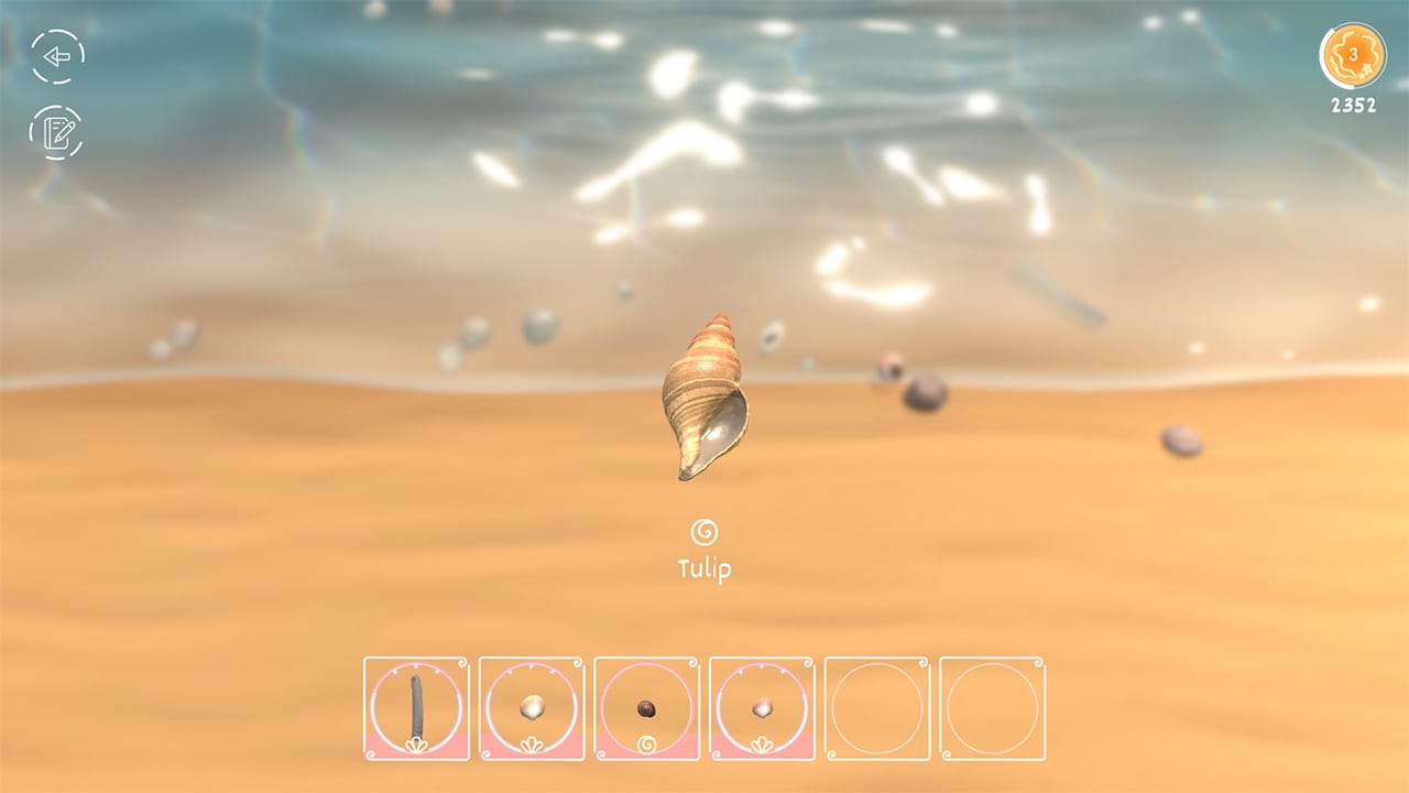 Seashell 3