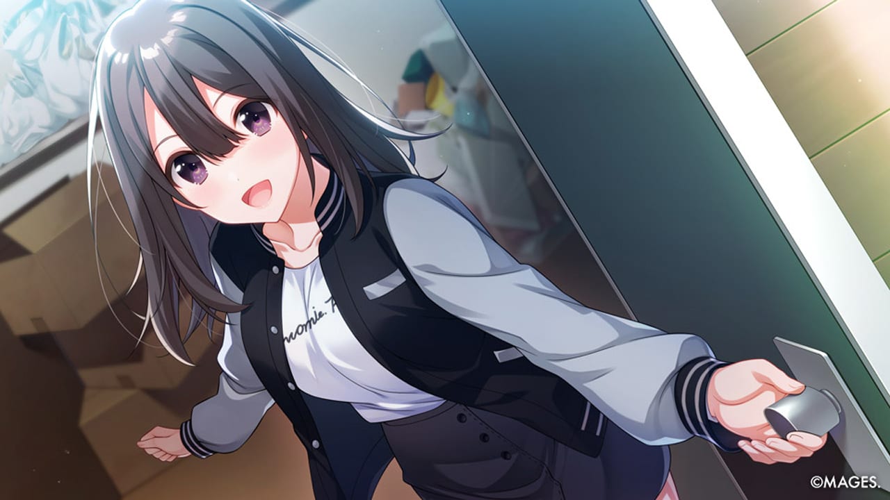SINce Memories: Off The Starry Sky for Nintendo Switch