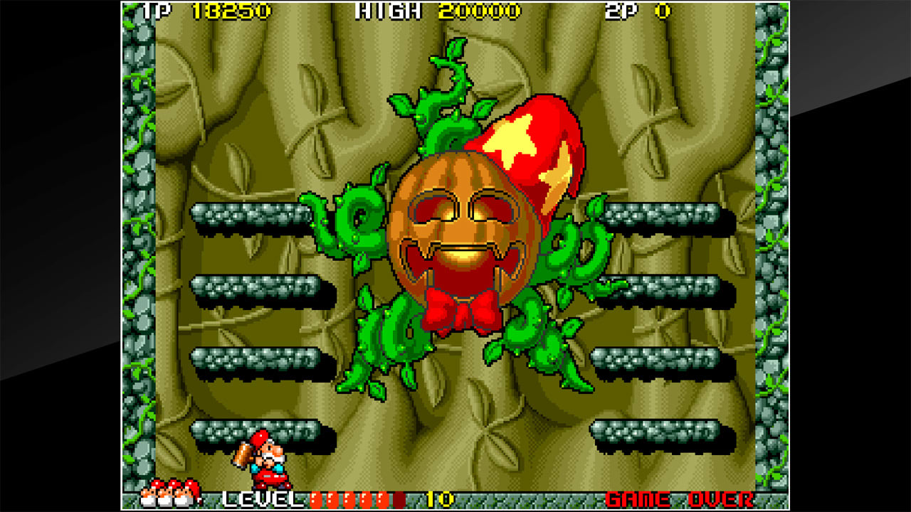 Arcade Archives DON DOKO DON 6