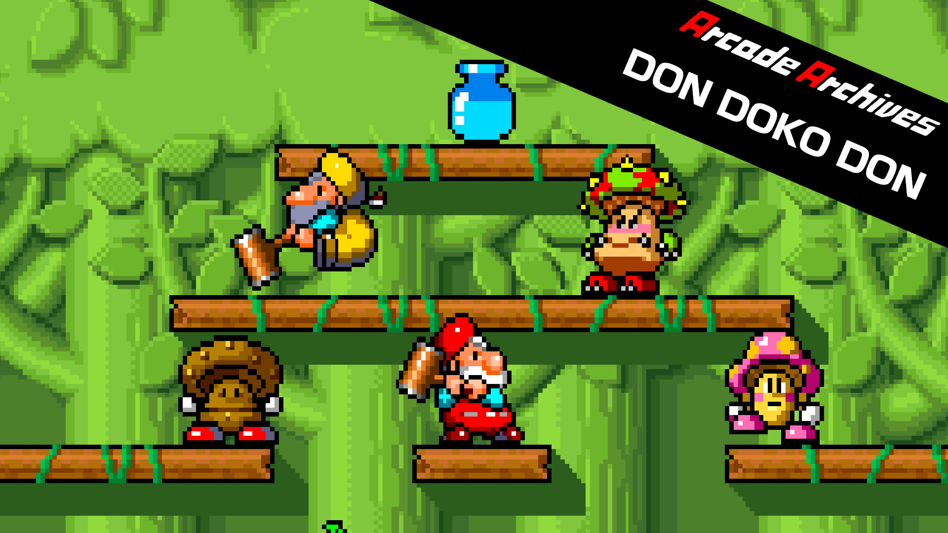 Arcade Archives DON DOKO DON 1