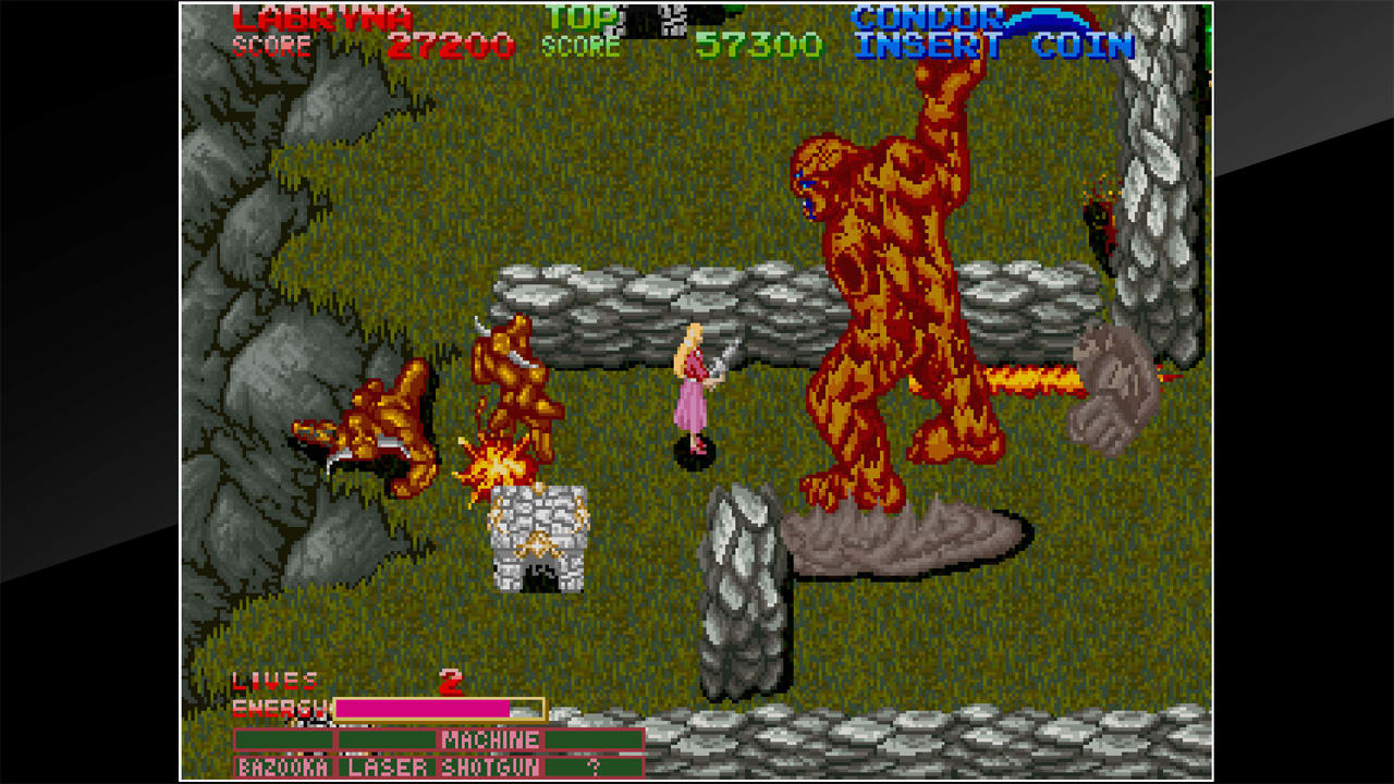 Arcade Archives DARK ADVENTURE 5