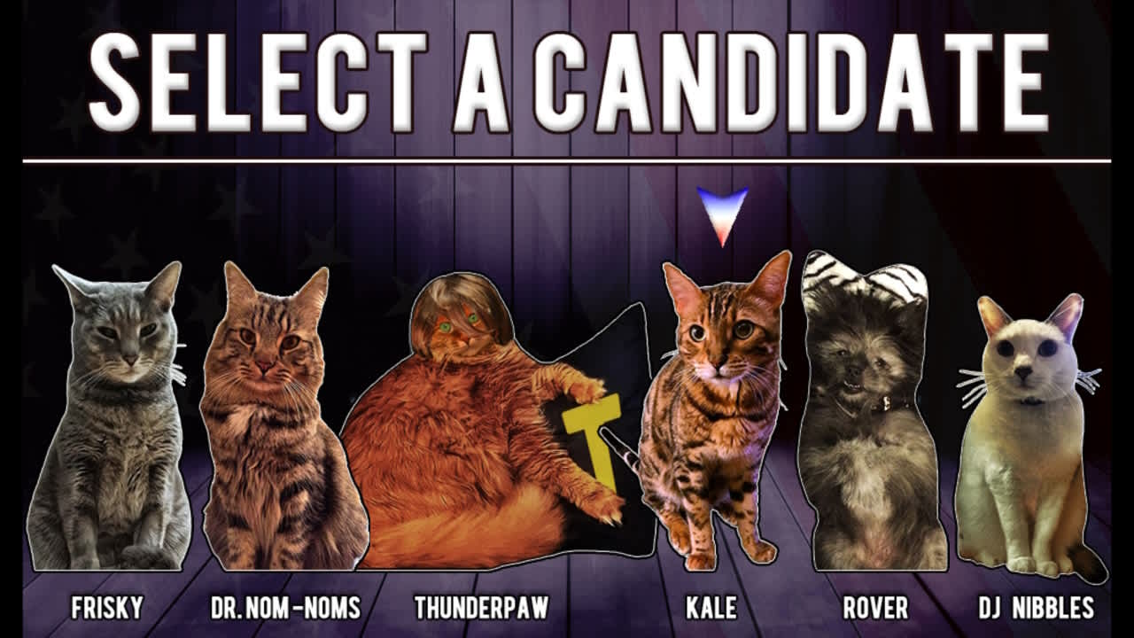Cat President: A More Purrfect Union 8
