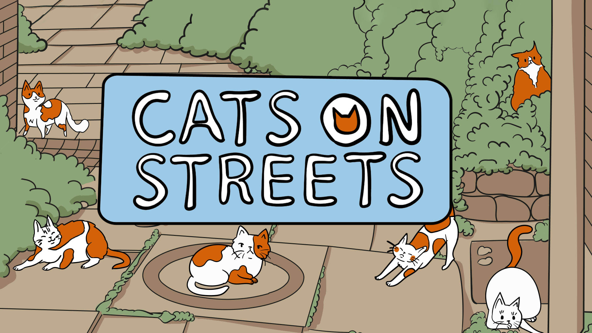 Chats dans les rues 1