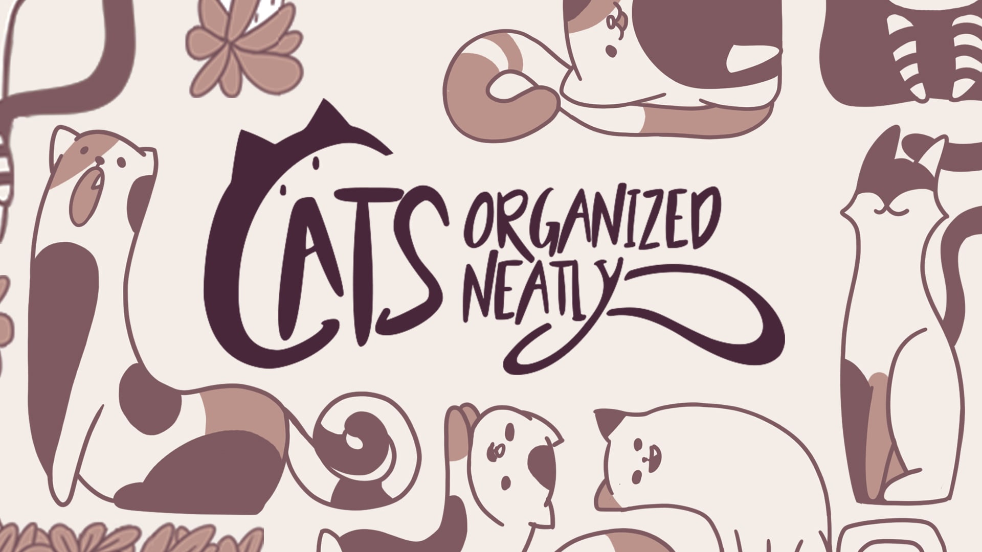Cats Organized Neatly 1