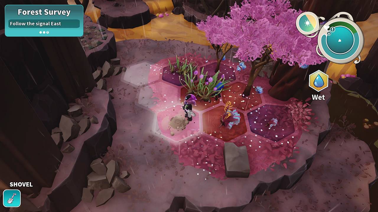 Distant Bloom 3