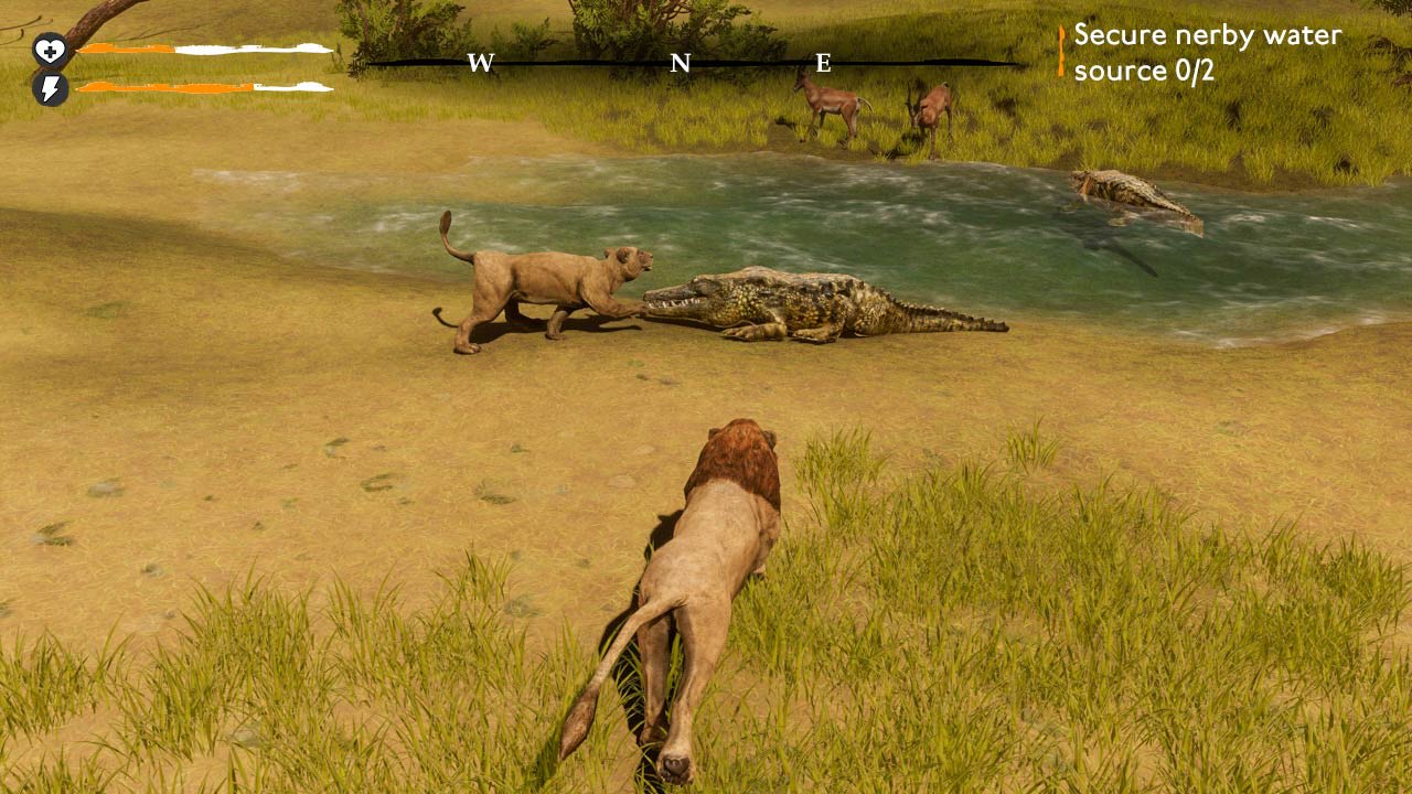 Lion Simulator Survival: RPG Animal Battle  5