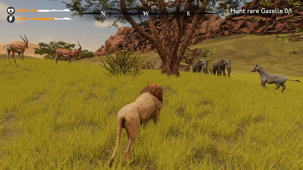Lion Simulator Survival: RPG Animal Battle  7