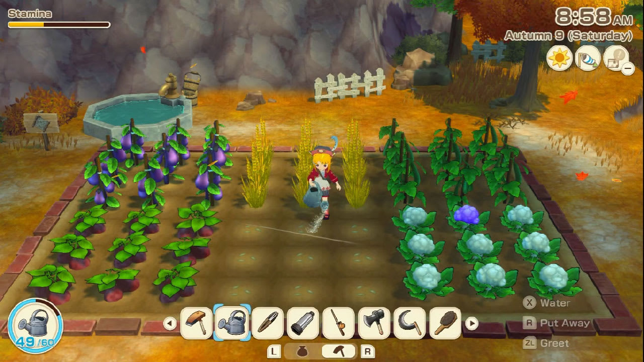 STORY OF SEASONS: Grand Bazaar 3